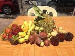 I like fruits i want to know which fruits are the most popular. I Spent 2 Years Living In Malaysia Here Are 14 Of My Favourite Fruits Americans Probably Wouldn T Recognise Business Insider