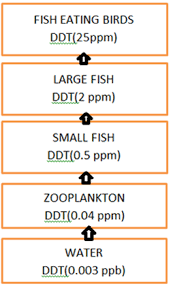 With The Help Of A Flow Chart Show The Phenomenon Of