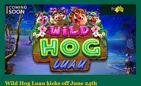 Latest Fair Go Casino Bonus Codes 2020 Nabble Casino Bingo In 2020 Casino Bonus Casino Bonus