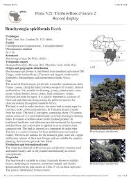 Image result for Brachystegia spiciformis