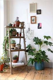 House plants encyclopedia listed by common names with pictures and care tips. 15 Amazing Ideas To Display Your Indoor Plants Architecture Design