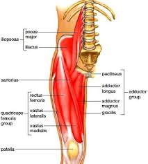 Pin On Health Fitness That I Love