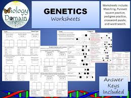 Pedigree practice problems set 1 1.which members of the family above are affected with huntington's disease? Genetics And Inheritance Worksheets Teaching Resources