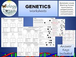 Heredity worksheet answer key kids activities / mendel and basic genetics packet ws answers / honors biology * patterns of inheritance / now before we start, let's review the idea that human cells contain 46 chromosomes, which contain the dna that makes each cell unique. Genetics And Inheritance Worksheets Teaching Resources