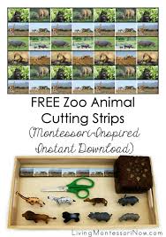 See all the available packs in my resource library and sign up here. Free Zoo Animal Printables Archives Living Montessori Now