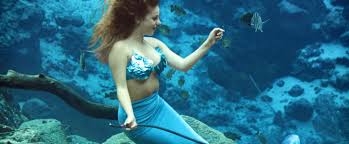 Image result for real mermaid