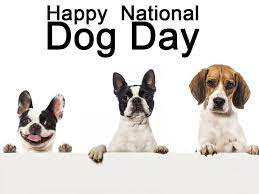 Dogs Do A Great Deal For Humans From Keeping Us Safe To Sustaining People Who Are Blind Deaf Or Disabled Cherish Th Happy National Dog Day Pet News Dog Days