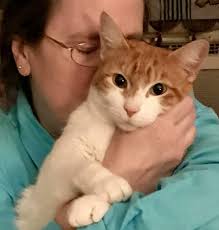 Sallie Hearn Obituary (1929