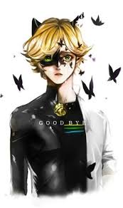 We did not find results for: Cat Noir Wallpaper Wallpaper Sun