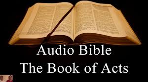 The Book Of Acts Niv Audio Holy Bible High Quality And Best Speed Audio Bible Book Of Hebrews Book Of Psalms