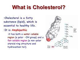 Maybe you would like to learn more about one of these? Determination Of The Total Cholesterol In Serum Dept Of Biochemistry Ppt Download