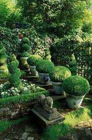 Pin On Garden