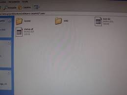 Pagina oficial para descargar el emulador: Nintendo Wii Briconsola