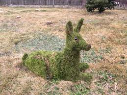 How long do highest bids usually take to get accepted. How Long Does Goat Take To Ship Arxiusarquitectura