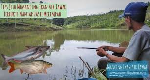 Tips Jitu Memancing Ikan Air Tawar Dan Air Laut Khusus Untuk Para Pecinta Mancing Yang Sangat Efektif Dalam Menaklukan Ikan Targe Ikan Air Tawar Air Tawar Ikan