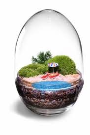 Terrarium Art Piccoli Mondi In Vetro Terrarium Moss Terrarium Miniatures