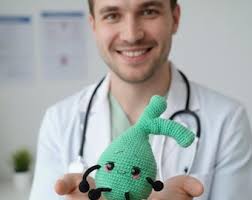Buy Gallbladder Plush With Stones