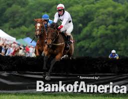 The stewards of the irish national hunt steeplechase committee (inhsc) have announced the full provisional summary of point to point races for the autumn 2021 season. Steeplechase Horse Arcadius Dies After Winning The New York Times