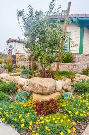 Mediterranean Rhythm And Roots Landscaping Drought Tolerant Landscape Drought Tolerant Garden Succulent Landscape Design
