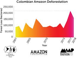 maap 97 deforestation surge in the colombian amazon 2018