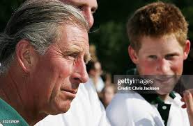 Justin Stanhope-White playing for the Army falls from his horse at... News  Photo