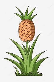 If you are planning a summer wedding or a party with a tropical theme, my pineapple palm tree fruit tray is the perfect centerpiece for the table! Pineapple Tree Cartoon Plant Glass Tree Plant Fruit Tree Png Transparent Clipart Image And Psd File For Free Download