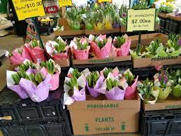 We did not find results for: Produce Junction Inc 2241 Bryn Mawr Ave Philadelphia Pa 19131 Usa