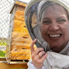 Are honeybees invasive to native pollinators?