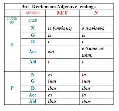 Getting Started With Latin Adjectives Mama Magistra