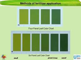 Ppt Methods Of Fertilizer Application Powerpoint