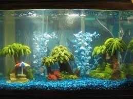 In the article 10 aquarium decors that will help revamp the look of your tank sunyiny aquarium decoration head sculpture factors to consider before deciding on your aquarium decoration. Pirate Themed Aquarium Decorations Www Macj Com Br