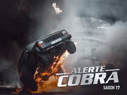 Ils ne se sont pas vus depuis des années. Prime Video Alerte Cobra Season 17