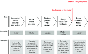 Flow Chart Of The Steps In The Emeunet Peer Review Mentoring