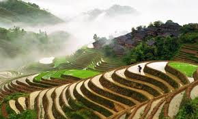 Rice Terraces Field Farming Village Longsheng Guangxi China Landscape Photography Rice Terraces Guangxi