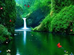 You will definitely choose from a huge number of pictures that option that will suit you exactly! Windows 10 Free Waterfalls Screensaver Green Waterfalls Screensaver Windows10screensavers Net
