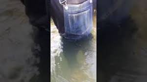 Entre no facebook para começar a compartilhar e se conectar com seus amigos, familiares e com as pessoas que você conhece. Girl In Wet Jeans Overalls In River Part 2 Wetlook Youtube