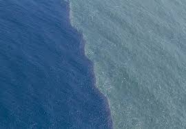 What does murky water mean. When Waters Collide Oregon Marine Reserves