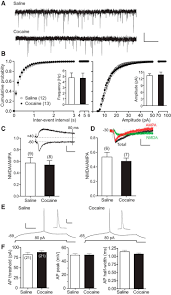 There it binds to dopamine receptors and sends a signal to the neuron that it is bound to. Cocaine Promotes Coincidence Detection And Lowers Induction Threshold During Hebbian Associative Synaptic Potentiation In Prefrontal Cortex Journal Of Neuroscience
