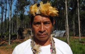 Guarani is a paraguayan yerba mate grown in the department of itapúa near the argentinian border. Brasilien Guarani Von Farmern Entfuhrt