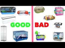 Good Bad Hamster Cages Hamster Cages Hamster Care Hamster Habitat