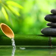 Música relaxante com sons da natureza, riacho, pássaros e animais da floresta. Stream Terapia Do Sono Musica Relaxante Com O Som Da Natureza Fonte De Agua De Bambu By Terapia Do Sono Listen Online For Free On Soundcloud