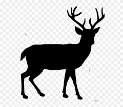 Why don't you let us know. Body Buck Deer Silhouette Transparent Background Clipart 2572728 Pikpng