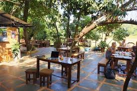 15 Best Cafes In Goa That You Must Visit Once In 2021