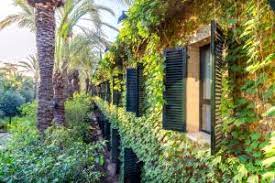 Check spelling or type a new query. Jardin Milenio Elche Aktualisierte Preise Fur 2021