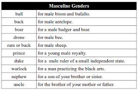 Masculine Gender Noun Chart A Zabdiel Feliz Lebrun Flickr