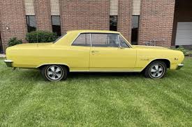 Image result for Crocus Yellow 1965 Chevelle