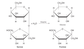 Biochemistry Tests For Food Macromolecules Carbohydrates Monosaccharaides The Monomers Of Carbohydrates Biochemistry Chemistry Macromolecules