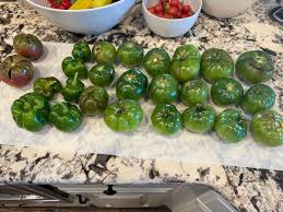 Hummingbird moth ❤️ #hummingbirdmoth