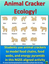 Next Generation Science Standards Ngss Activities Animal Crackers Ecology Lab Food Chain Food Web Ngss Science Science Classroom Science Education