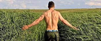 Bodyscapes salon beauty spa best waxing hair removal. 4 Best Hair Removal Creams Sprays More For Men 2021 Guide